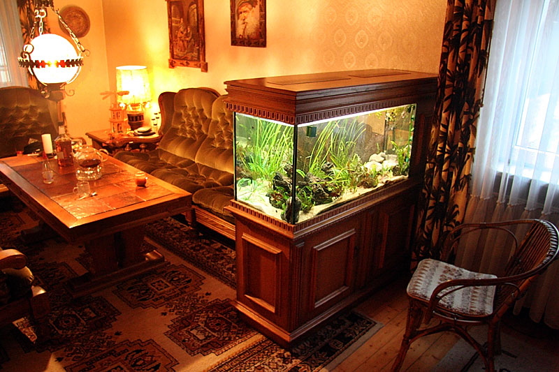 Living Room Bookcase Printed Fish Tank
